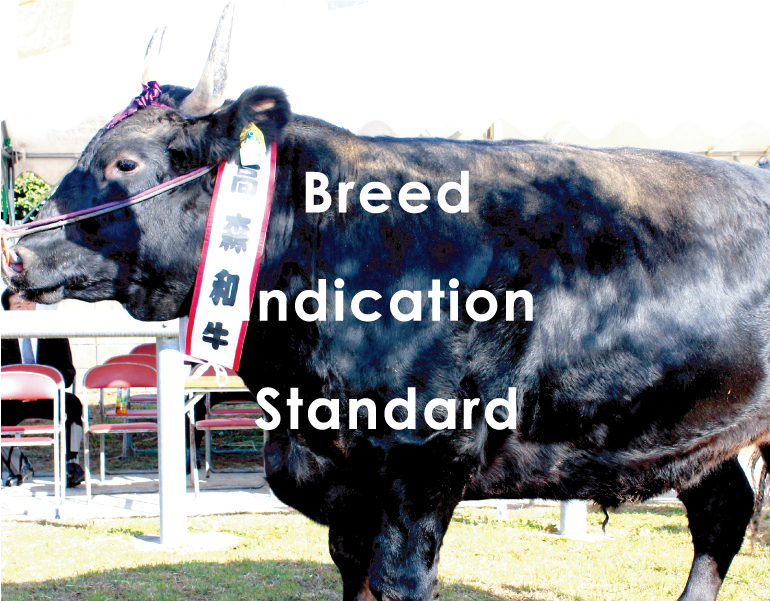 Breed Indication Standard