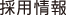 採用情報